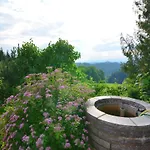 With Panoramic View And Every Convenience - Апартаменты Вальдкирхен