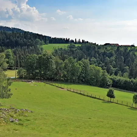 Apartment With Panoramic View And Every Convenience Waldkirchen