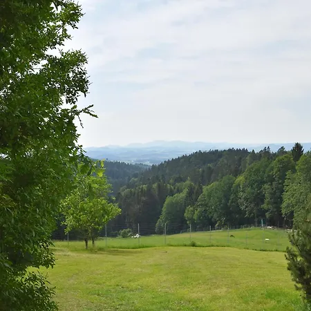 With Panoramic View And Every Convenience Apartment Waldkirchen