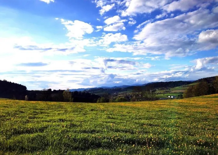 With Panoramic View And Every Convenience - *